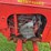 massey-harris-pony-image-25