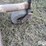 international-111-image-10