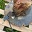 #255-•-hydraulic-pump-image-4