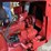international-cub-image-10
