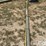 speedking-auger-image-12