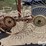 1993-sitrex-tr229-wheel-rake-image-12