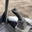 2013-bobcat-e26em-hydraulic-excavator-image-33