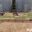 grave-mfg,-co-small-square-baler-conveyor-image-4