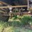 #616-•-1994-savannah-log-trailer-image-17