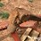 3-pt-post-hole-auger-image-16