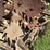 john-deere-1780-image-19