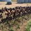 469-international-cultivator-image-8