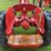 massey-harris-pony-image-33