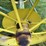 john-deere-d-image-19