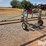 nitzsche-weeder-self-propelled-rye-wicker-image-19