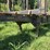 #608-•-2018-pitts-log-trailer-image-7