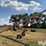 westgo-8-x-30-grain-auger-image-8