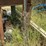 #227-•-fuel-tank-image-7