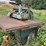 #141-•-diehl-750-straight-line-ripsaw-image-3