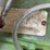 john-deere-b-image-42