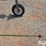 nitzsche-weeder-self-propelled-rye-wicker-image-14