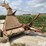 lundell-300-image-3