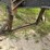 #613-•-2008-pitts-log-trailer-image-16