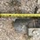 speedking-auger-image-11