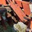 case-ih-496-image-15