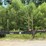 #613-•-2008-pitts-log-trailer-image-2