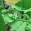 john-deere-ar-image-38