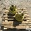 john-deere-9-image-6