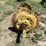 john-deere-8630-image-4