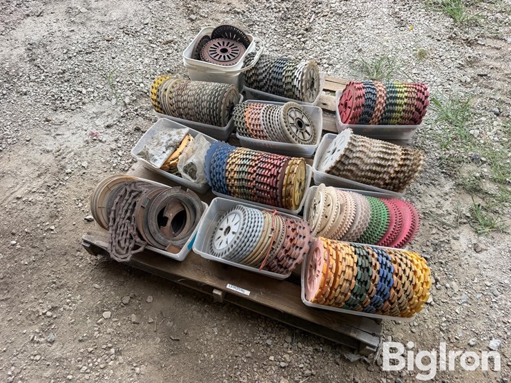 international-300-image-1