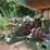 #175-•-lumber-tiger-drop-belt-image-8