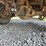 #54424-•-2002-dodge-ram-pickup-4x4-ext-cab-flatbed-pickup-3b7mf33602m299667-inv#54424-image-12