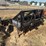 #54415-•-ground-hog-gh8-24-8'-soil-conditioner-2982-inv#54415-image-2