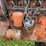 case-vac-image-27