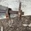 #162-•-shaft,-sprockets-and-chain-image-3