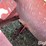 buhler-farm-king-snow-blower-image-17