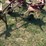 new-holland-163-image-2