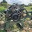 #140-•-weland-048-edger-image-6
