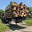 #603-•-2023-fmi-log-trailer-image-4