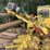 #110-•-fulgum-e-616-rosserhead-debarker-image-18