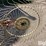 1993-sitrex-tr229-wheel-rake-image-15