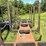 #608-•-2018-pitts-log-trailer-image-11