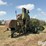 1954-john-deere-55-image-5