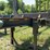 2016-magnolia-log-image-8