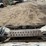2007-bobcat-t190-image-23