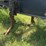 #611-•-pitts-log-trailer-image-22
