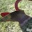 dearborn-10-158-image-13