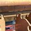 #676-•-miner-4x31-edger-image-12