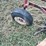 international-5-image-15