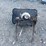 #48465-•-seed-spreader-inv#48465-image-7